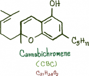 Molécule du cannabinoide CBC