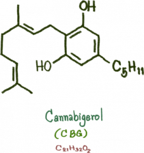 cannabinoide CBG