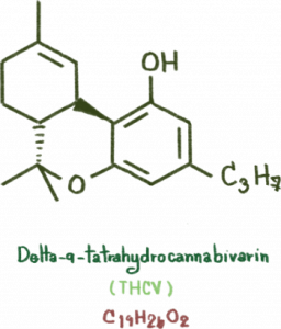 thcv cannabinoide
