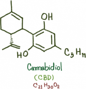 Molécule de cannabidiol CBD